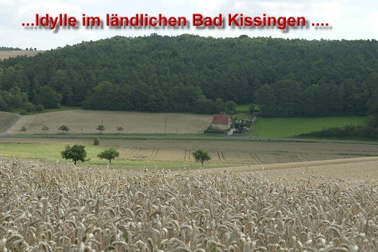 2007 Bad Kissingen Maxi
(c) www.kawasaki-z.de
