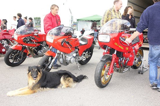 2007 Egli Treffen
(c) www.kawasaki-z.de