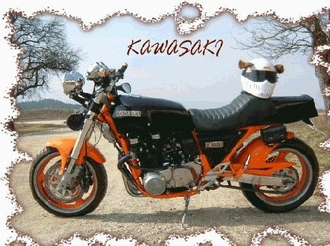 Friends + Bikes
(c) www.kawasaki-z.de