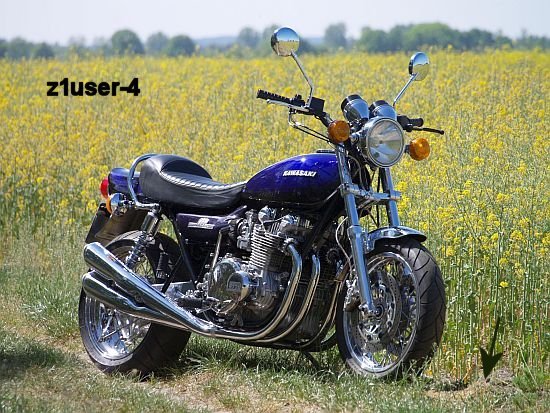 z1user-4.jpg