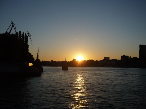 P1050097.JPG