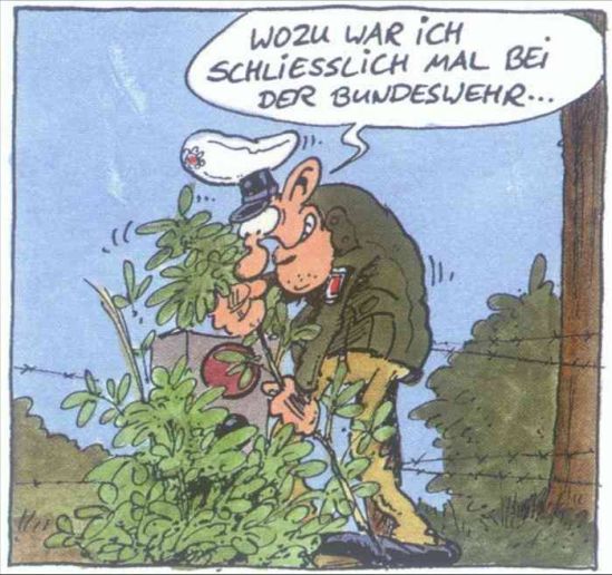 Bild4.jpg