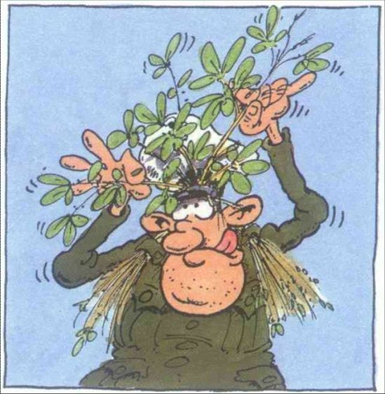 Bild5.jpg