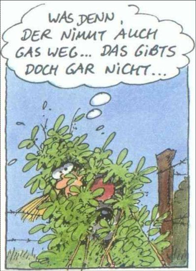 Bild7.jpg