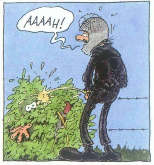 Bild9.jpg