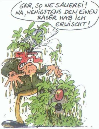 Bild11.jpg