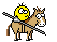:reiten01: